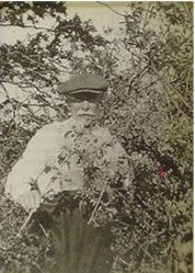 Albert Ruth