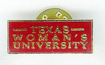 TWU Lapel Pin