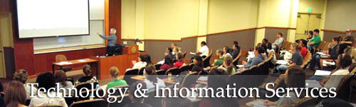 Technology & Information Services