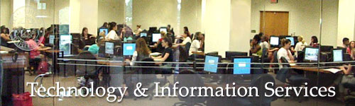 Technology & Information Services