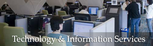 Technology & Information Services