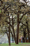 thumbnail campus scene