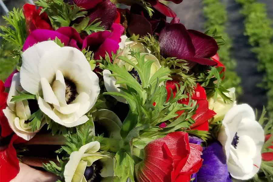 A floral arrangement from Aunt Sue's Barn