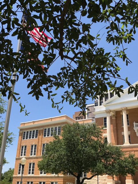 Stoddard Hall on the TWU Denton campus, with a tree and American flag in the foreground