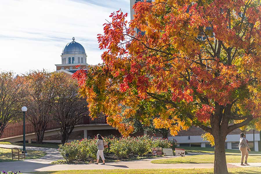 TWU Denton campus with fall colors