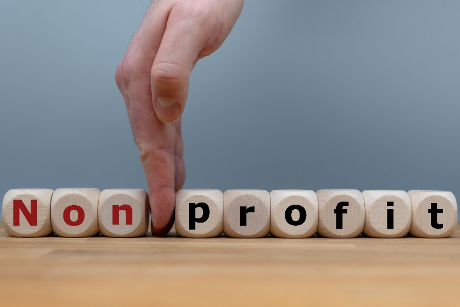 Nonprofit vs Profit image