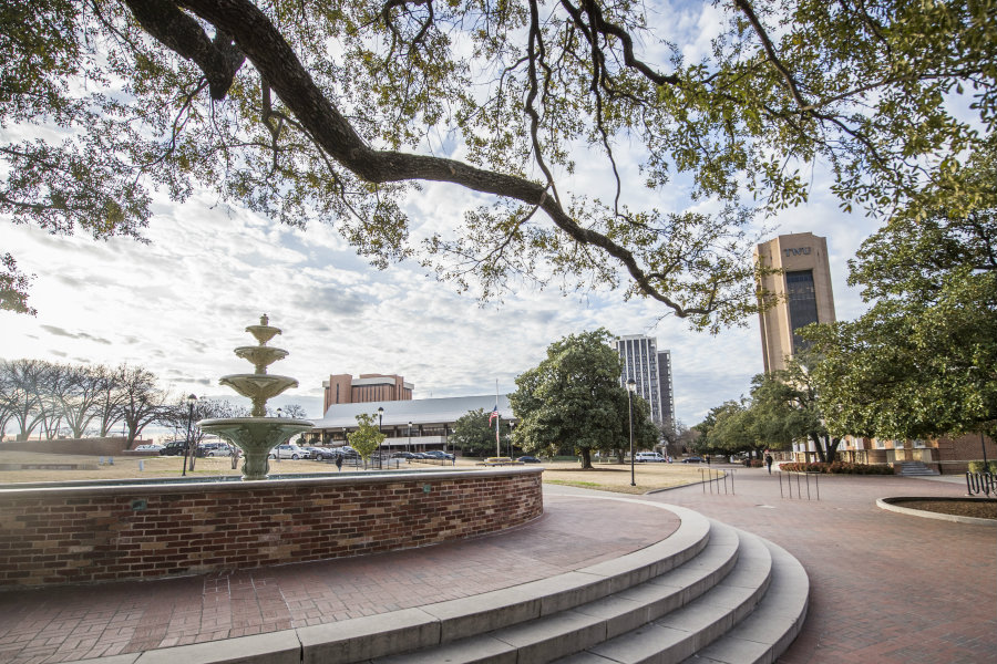 A view of TWU's Denton campus from the fountain and looking towards ACT Tower.