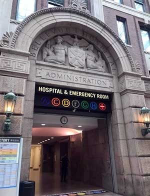 Bellevue Hospital