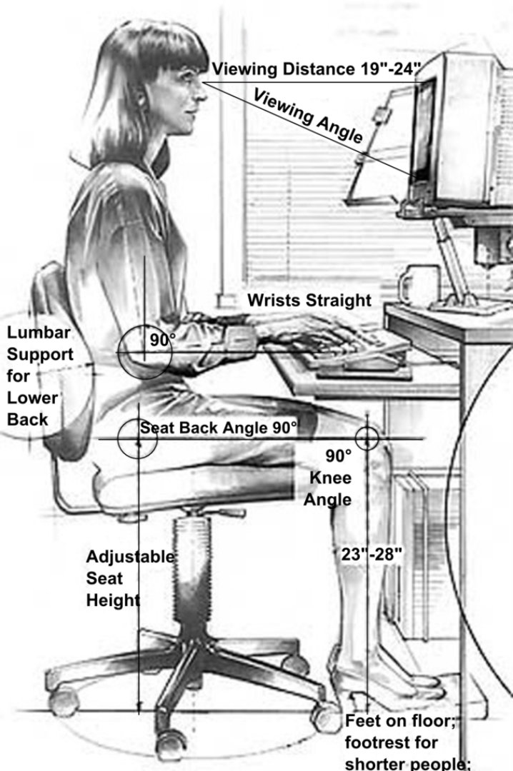 Ergonomics in the Workplace: The Science Behind Ergonomic Office