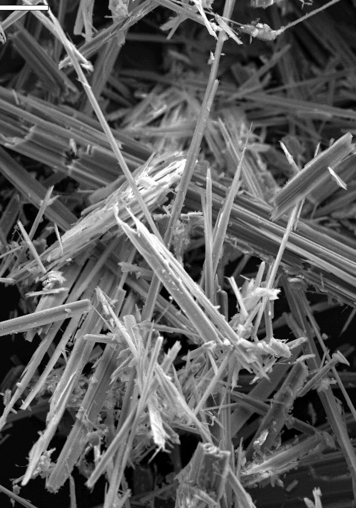 This image of asbestos was taken with an electron microscope.
