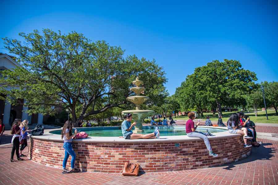 Students gathered at the TWU fountain on a sunny day.