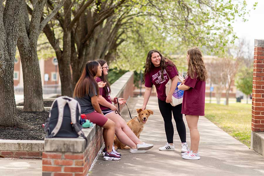 Students lounge outdoors on the TWU Denton campus.