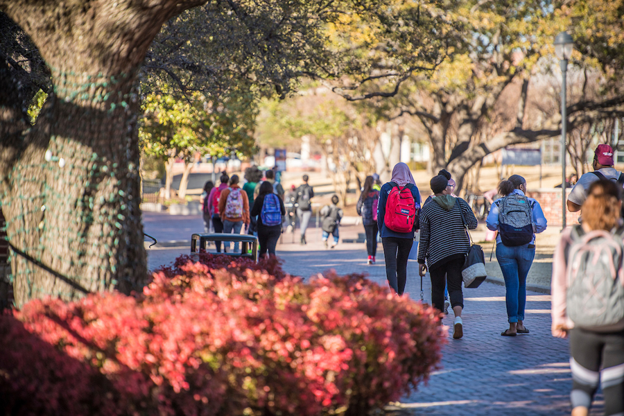 Students walk to class on TWU's Denton campus.