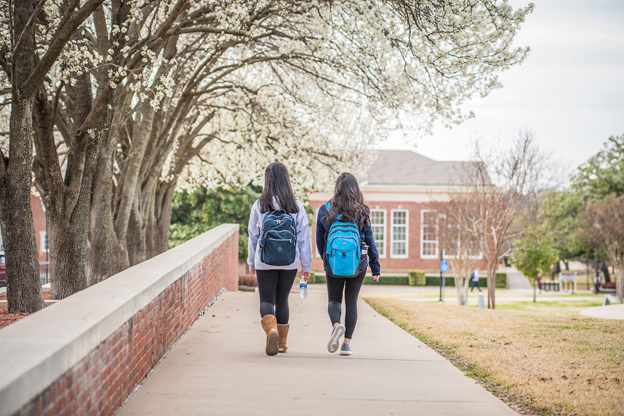 Two students walk toward the Redbud Theater Complex surrounded by white trees in full bloom.
