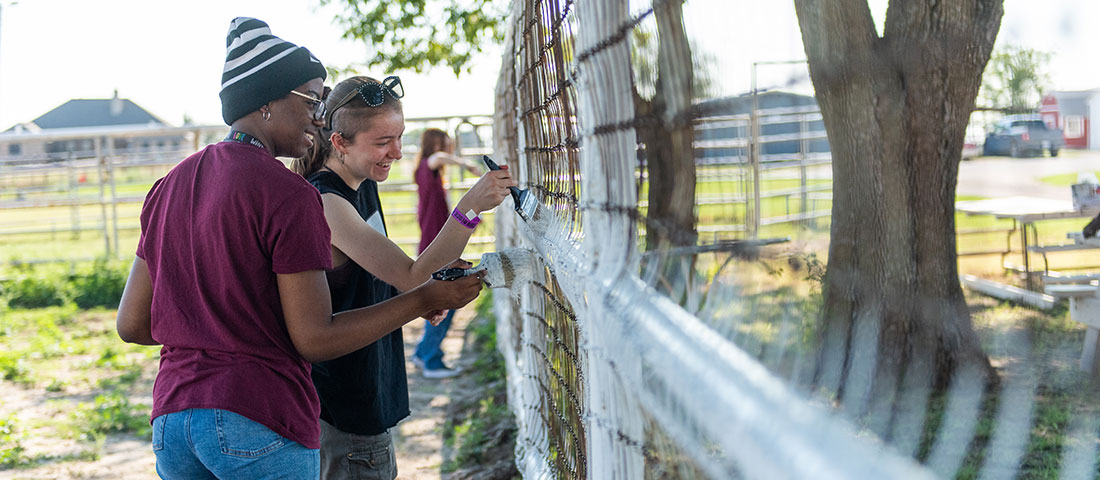 TWU students paint the frame of a fence on a farm