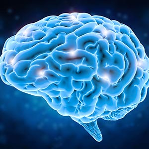 a graphic of a brain outline in blue on a dark